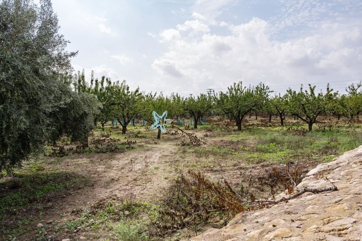 Image No.39-4 Bed Country House for sale