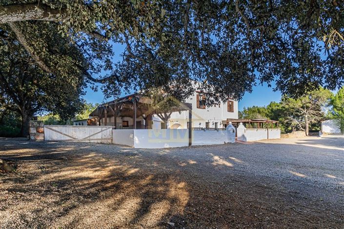 Image No.2-Commercial de 4 chambres à vendre à Alaior