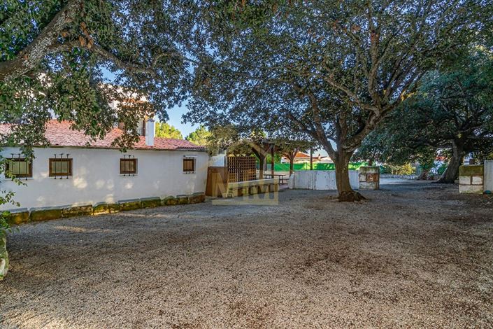 Image No.8-Commercial de 4 chambres à vendre à Alaior