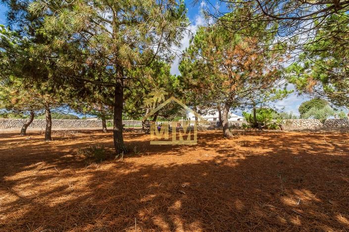 Image No.43-Maison de campagne de 6 chambres à vendre à Sant Lluis