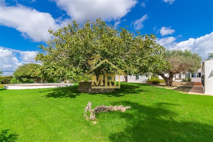 Image No.5-7 Bed Country House for sale