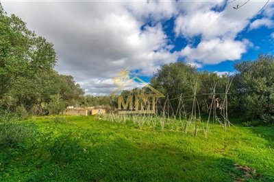 casa-de-campo-en-sant-lluis-023