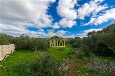 casa-de-campo-en-sant-lluis-021