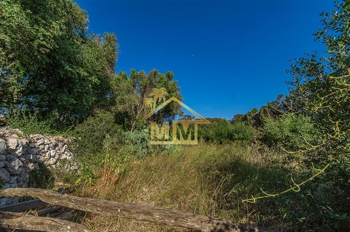 Image No.18-5 Bed Country House for sale