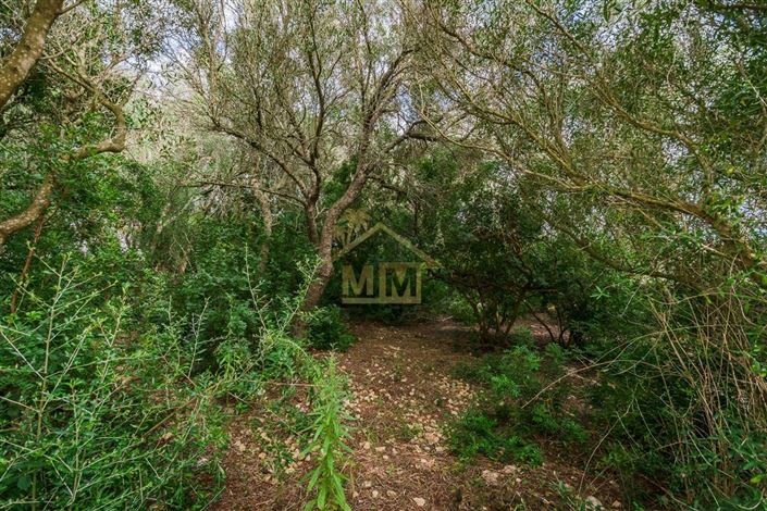 Image No.6-Maison de campagne de 7 chambres à vendre à Es Castell