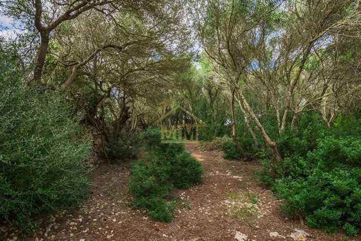 Image No.7-Maison de campagne de 7 chambres à vendre à Es Castell