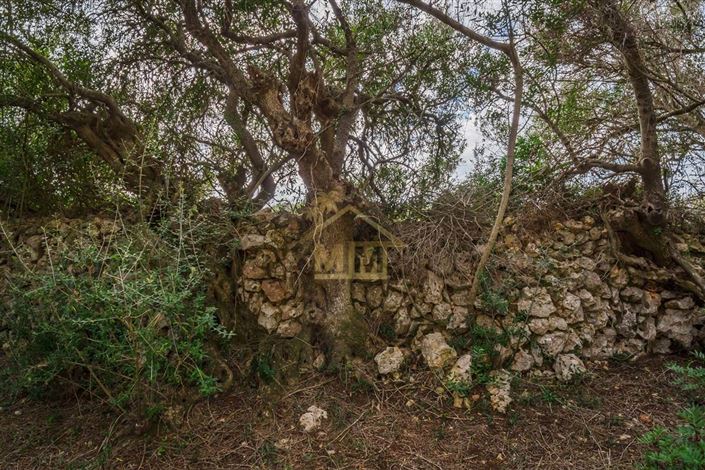 Image No.8-Maison de campagne de 7 chambres à vendre à Es Castell