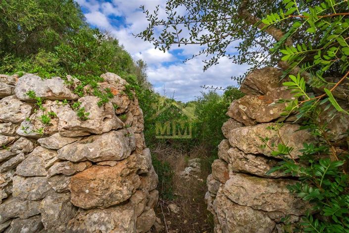 Image No.4-Maison de campagne de 7 chambres à vendre à Es Castell