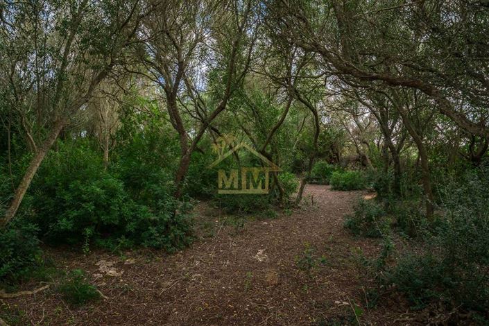 Image No.9-Maison de campagne de 7 chambres à vendre à Es Castell