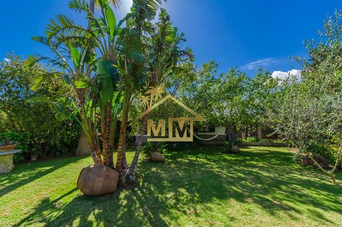 Image No.19-Villa de 4 chambres à vendre à Alaior