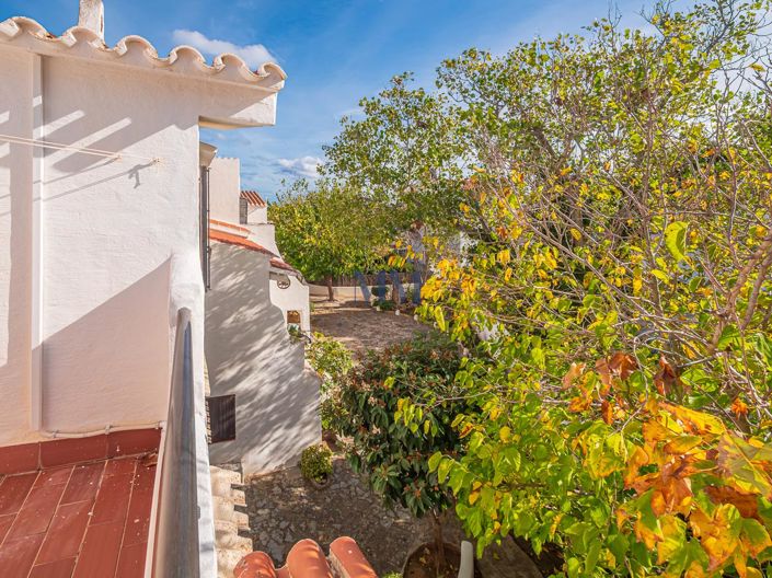 Image No.24-4 Bed Duplex for sale