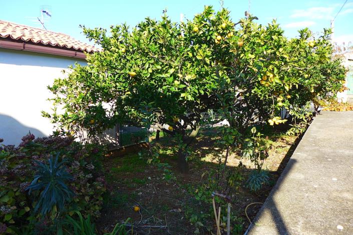 Image No.5-Maison de campagne de 2 chambres à vendre à Cosenza