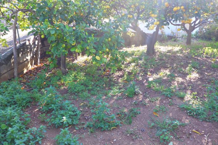 Image No.6-Maison de campagne de 2 chambres à vendre à Cosenza