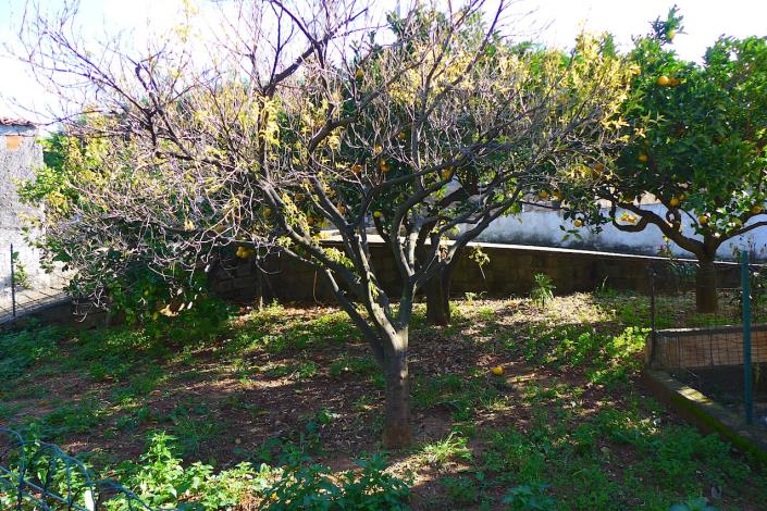 Image No.7-Maison de campagne de 2 chambres à vendre à Cosenza