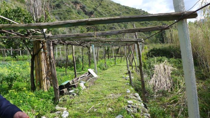 Image No.4-2 Bed House for sale