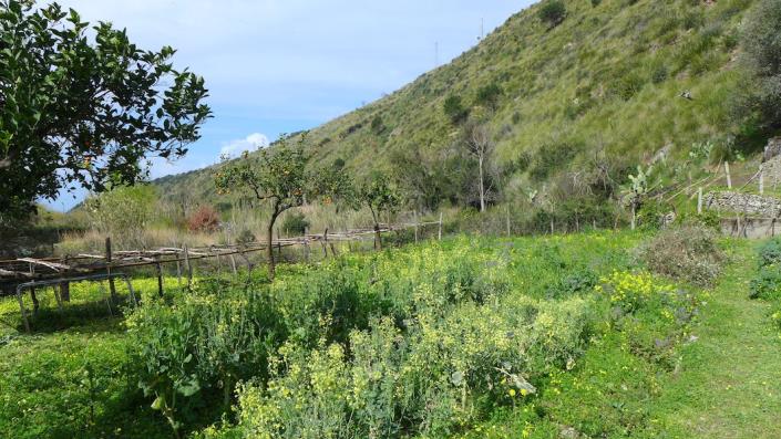 Image No.8-2 Bed House for sale