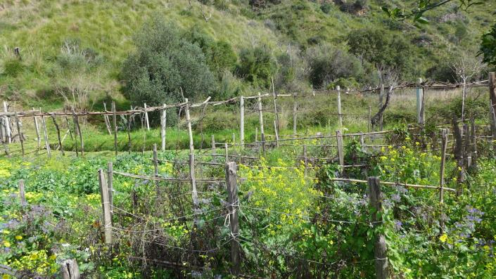 Image No.9-2 Bed House for sale