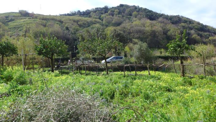 Image No.11-2 Bed House for sale