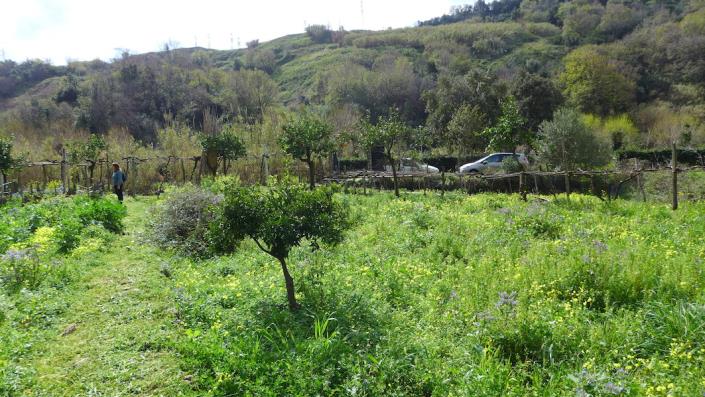 Image No.12-2 Bed House for sale