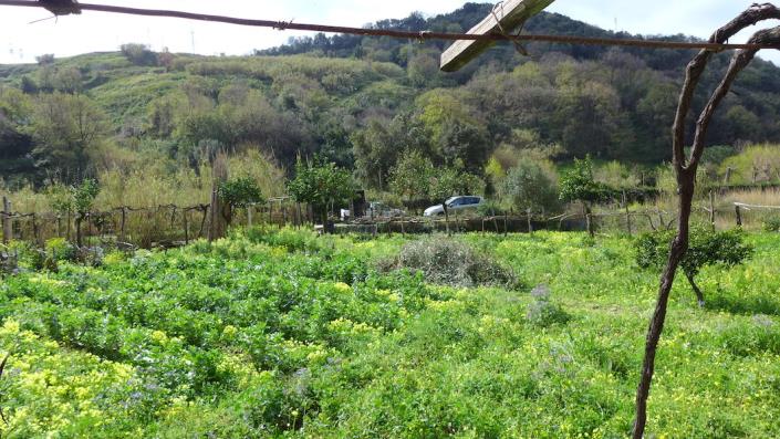 Image No.13-2 Bed House for sale