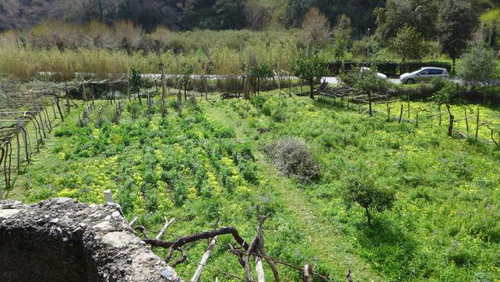 Image No.17-2 Bed House for sale