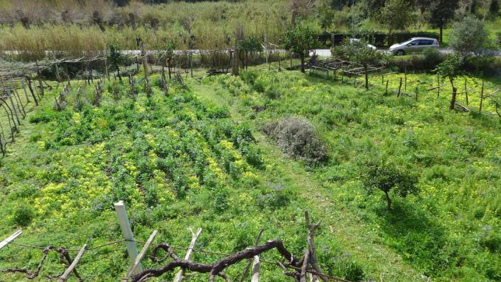 Image No.18-2 Bed House for sale