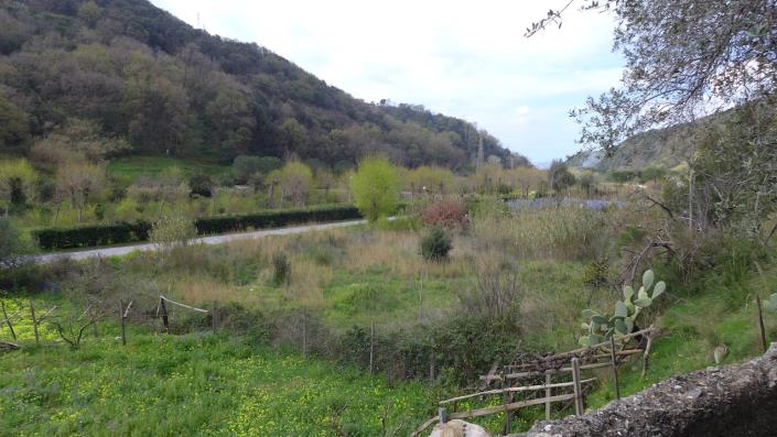 Image No.24-2 Bed House for sale