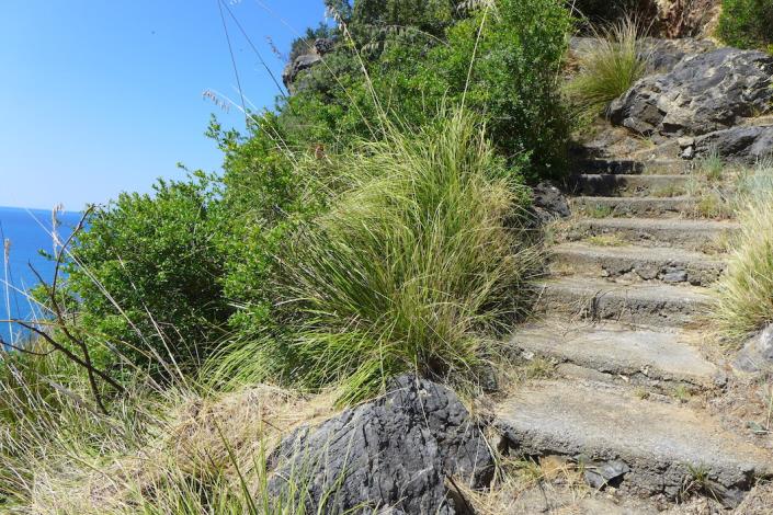 Image No.22-2 Bed Apartment for sale