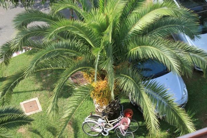 Image No.18-2 Bed Apartment for sale