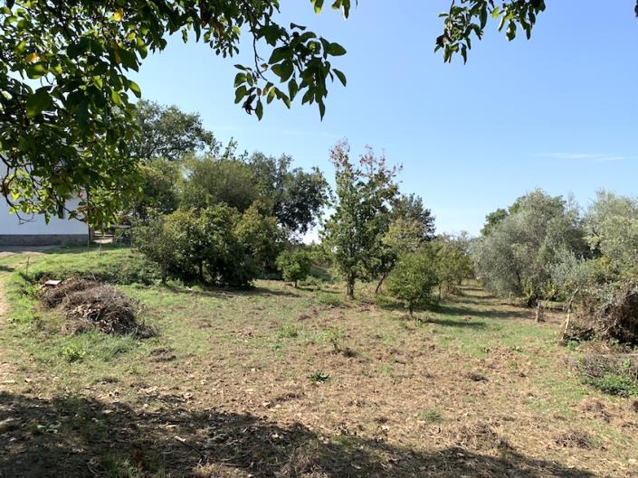 Image No.33-2 Bed Property for sale