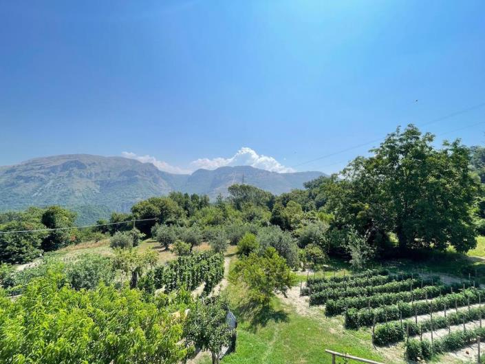 Image No.4-Appartement de 2 chambres à vendre à Papasidero