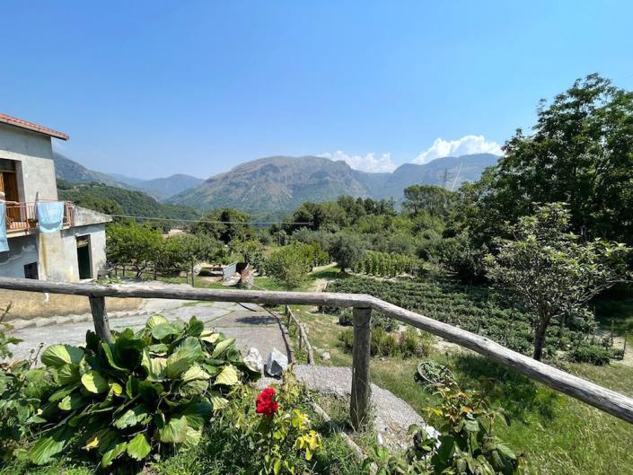 Image No.5-Appartement de 2 chambres à vendre à Papasidero