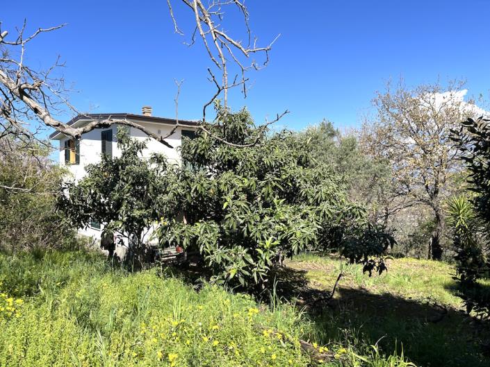 Image No.4-2 Bed Villa / Detached for sale