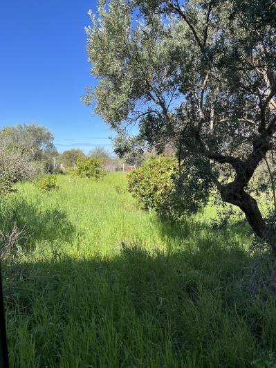 Image No.45-2 Bed Villa / Detached for sale