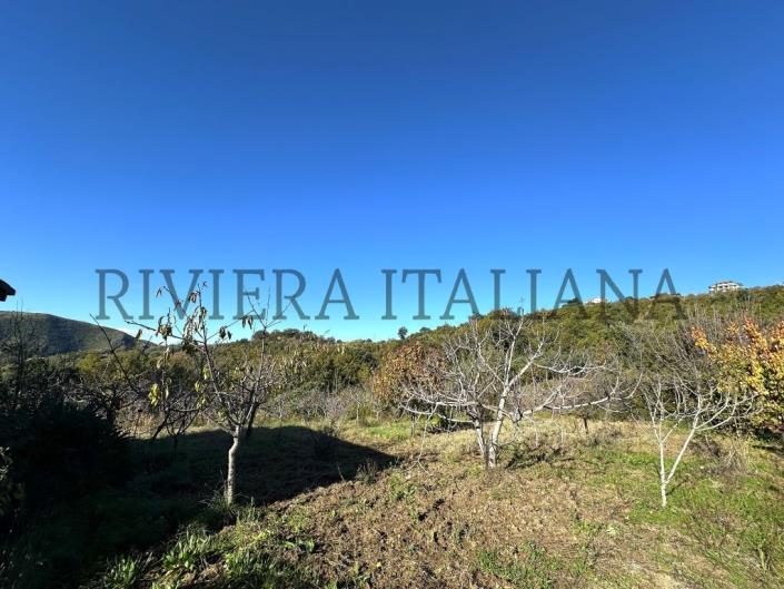 Image No.8-Country Property for sale