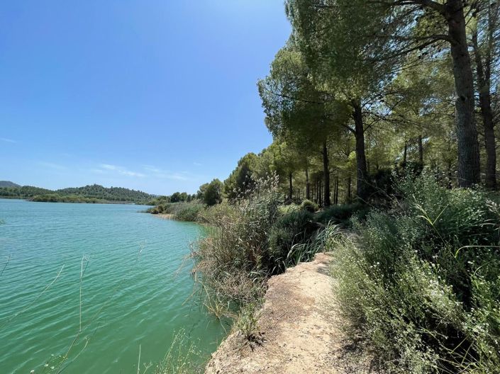 Image No.39-Propriété de 3 chambres à vendre à Calasparra