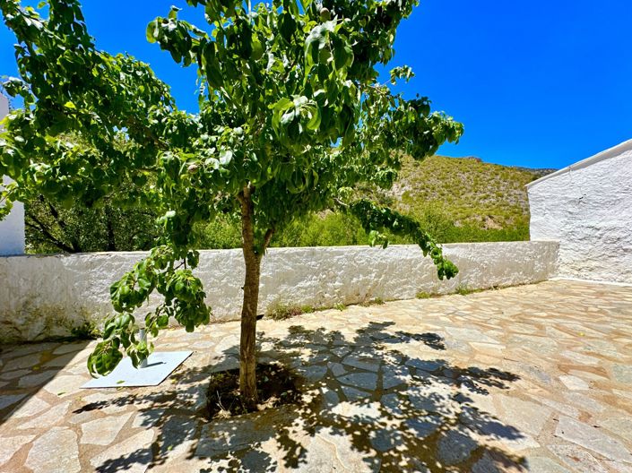 Image No.66-6 Bed Villa for sale