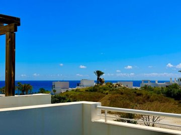 spanishpropertyexpertcomcalleavicena-9