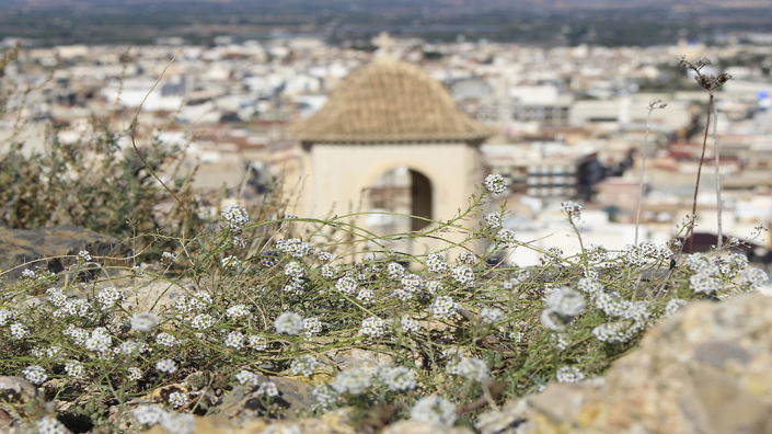 Image No.57-Propriété de 3 chambres à vendre à Cox