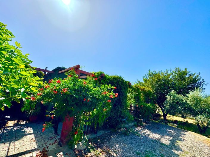 Image No.50-2 Bed House for sale