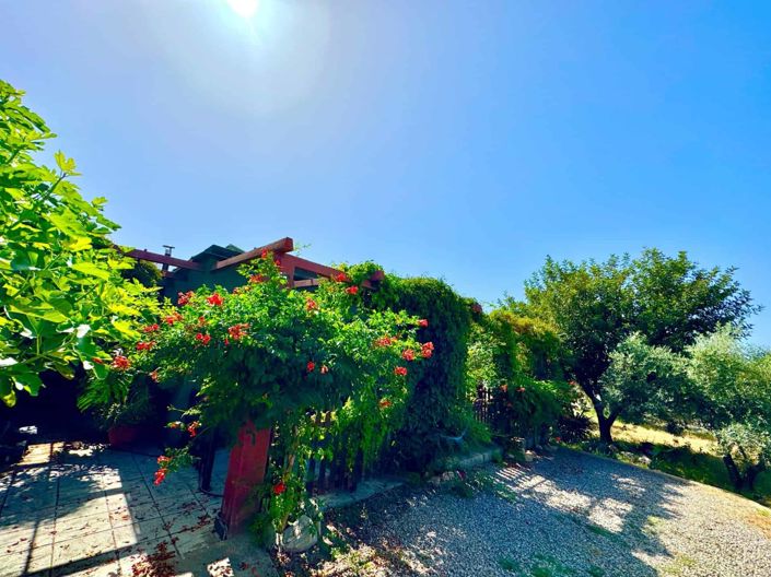 Image No.50-2 Bed House for sale