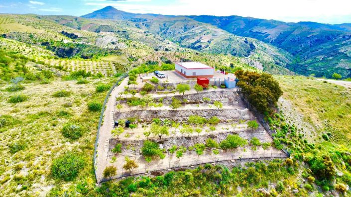 Image No.28-Villa de 3 chambres à vendre à Albondón