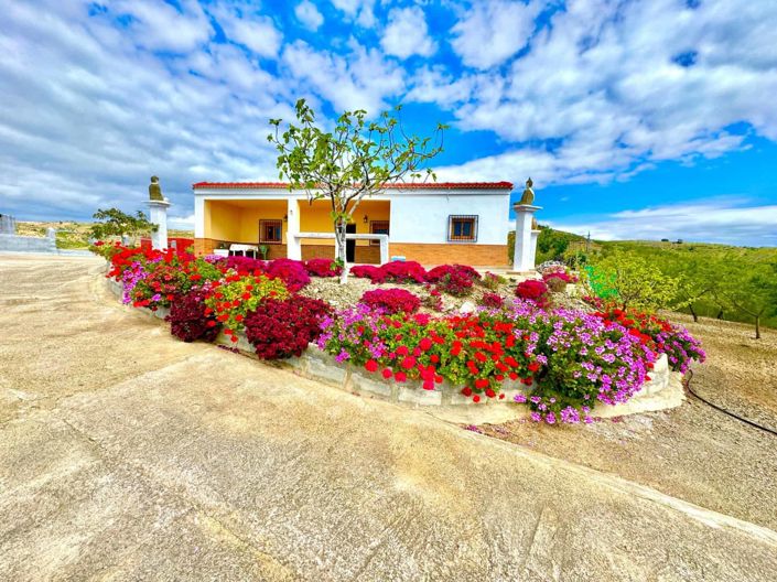 Image No.41-Villa de 3 chambres à vendre à Albondón