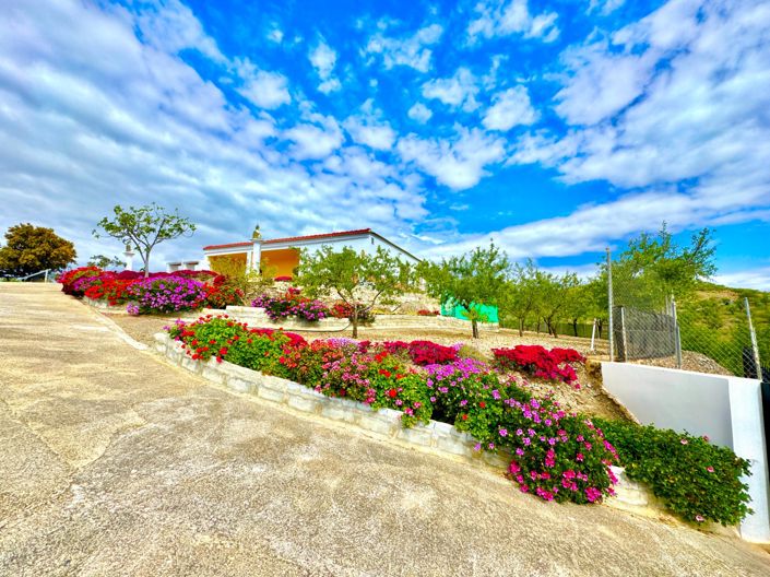 Image No.42-Villa de 3 chambres à vendre à Albondón