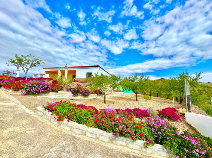 Image No.43-Villa de 3 chambres à vendre à Albondón