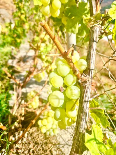 Image No.111-6 Bed Villa for sale