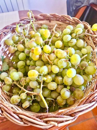 Image No.112-6 Bed Villa for sale