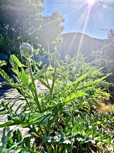 Image No.115-6 Bed Villa for sale