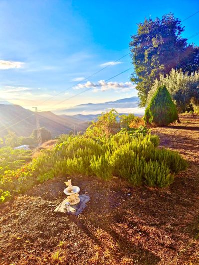 Image No.118-6 Bed Villa for sale