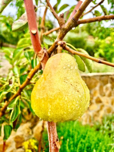 Image No.119-6 Bed Villa for sale